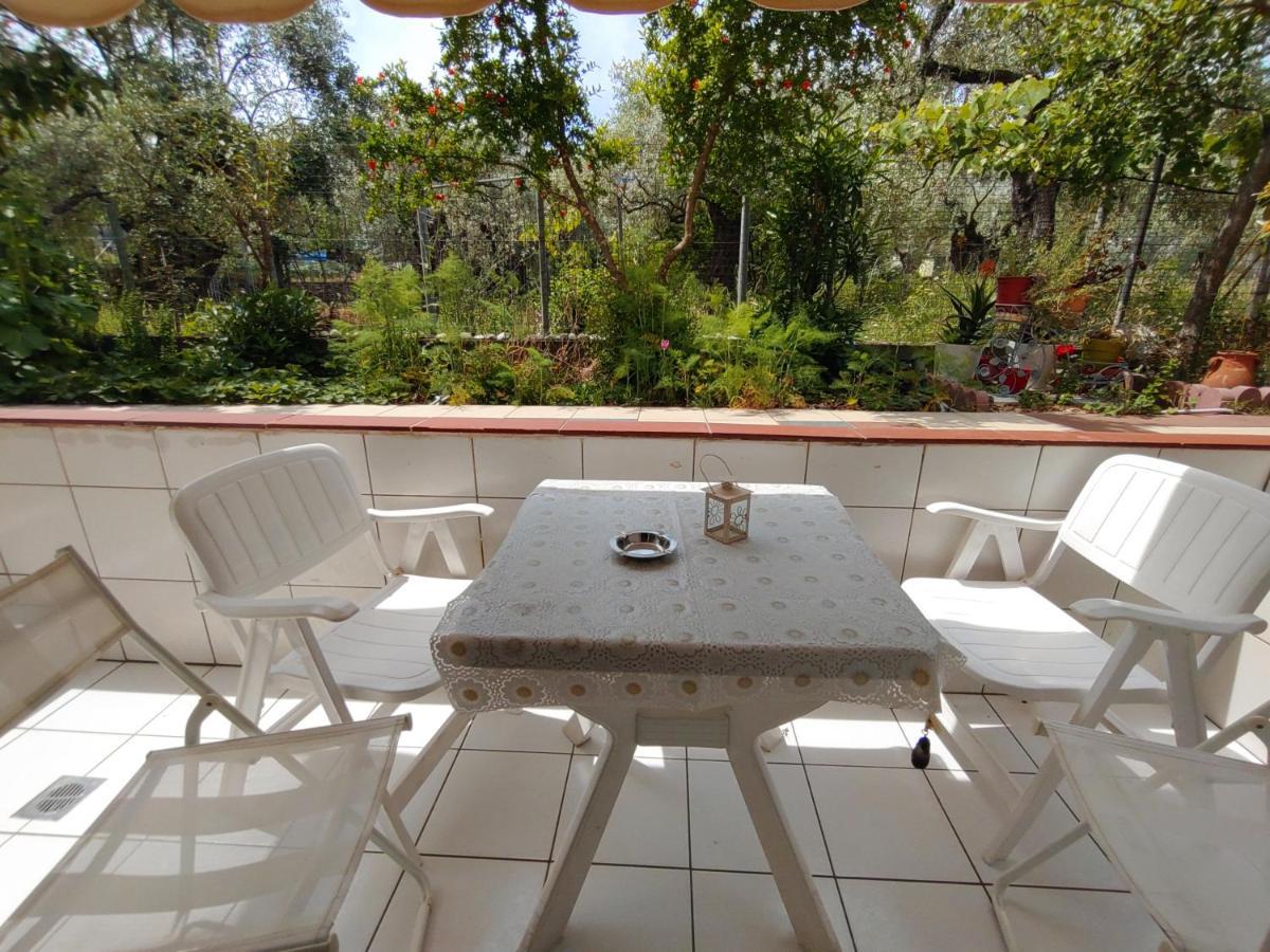 Ioli Garden Apartment